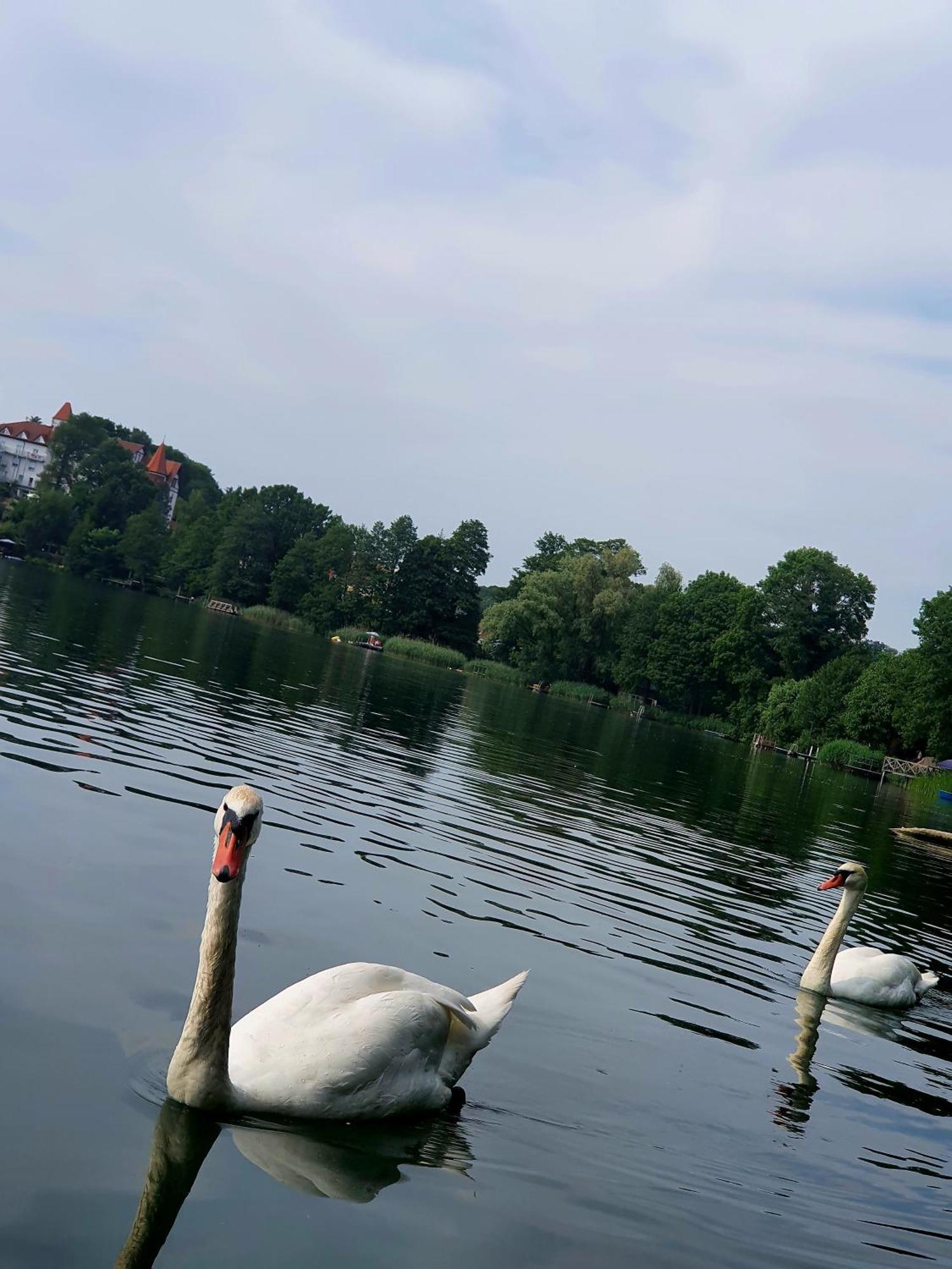 Apartment Buckow Zewnętrze zdjęcie